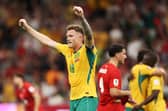 Harry Souttar produced an excellent performance in Australis’s 2-0 win over Turkey.