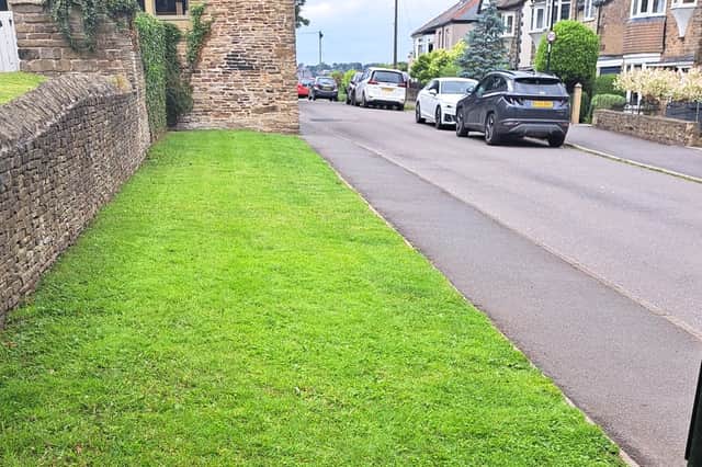 The grass verge in Ecclesfield