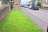 The grass verge in Ecclesfield