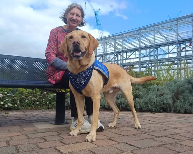 Gromit can be seen often accompanying Fiona to her job as a research fellow in health and wellbeing at Sheffield Hallam University and the University of Nottingham, with regular train travel from her home near Buxton.