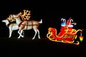 These lights are up for sale - they could be in your garden this Christmas. 