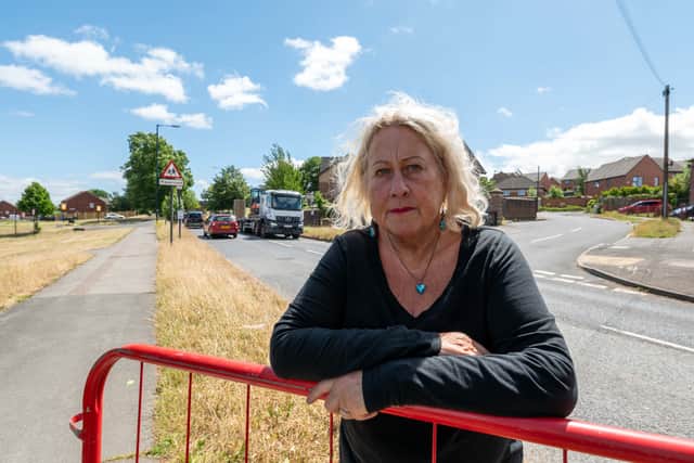 Coun Laura Moynahan wants traffic calming measures placed on Harborough Avenue, near Manor, after several incidents involving cars and pedestrians. Photo: Dean Atkins, Iconic Media