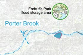 An earth dam, in purple, could be installed at Endcliffe Park to create a flood reservoir during extreme storm events, the council says.