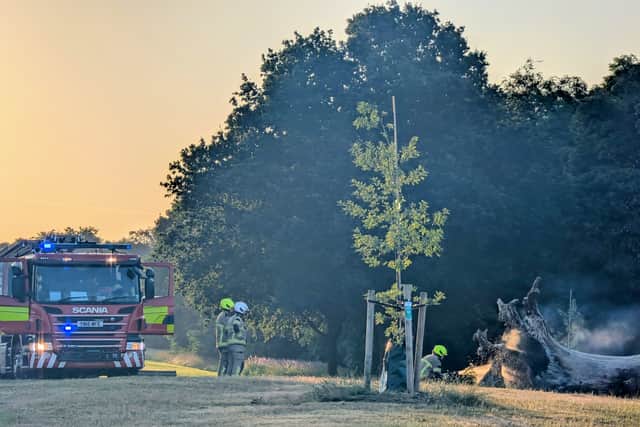 Firefighters in Graves Park, Sheffield, in the early hours of Friday, July 10, after a fallen tree caught light. Photo: Dek Smith