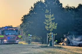 Firefighters in Graves Park, Sheffield, in the early hours of Friday, July 10, after a fallen tree caught light. Photo: Submitted