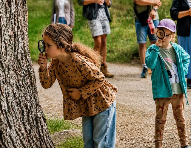 Young explorers uncover nature's hidden wonders on the Naturally Curious Trail.