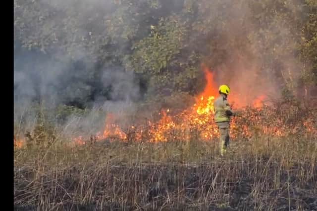 Firefighters at the scene of a fire on grassland near Wensley Street, Wincobank, Sheffield. Photo: Submitted