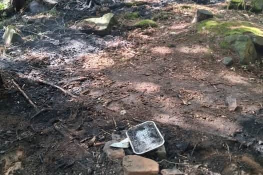 A disposable barbecue started a fire in Grenoside Woods. Photo: South Yorkshire Fire and Rescue.