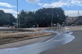 Fenton Road has been closed because of a burst water main. Photo: Iconic Media
