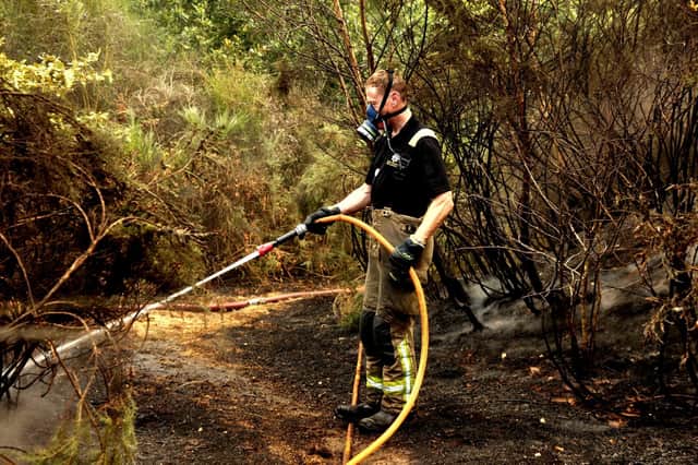 Firefighters at a wildfire near Dyke Vale Road, Hackenthorpe, Sheffield. Photo: South Yorkshire Fire and Rescue Service