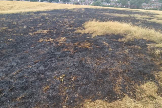 An area approximately 50 metres long was burned in the fire on Longley Park on July 28, 2026.