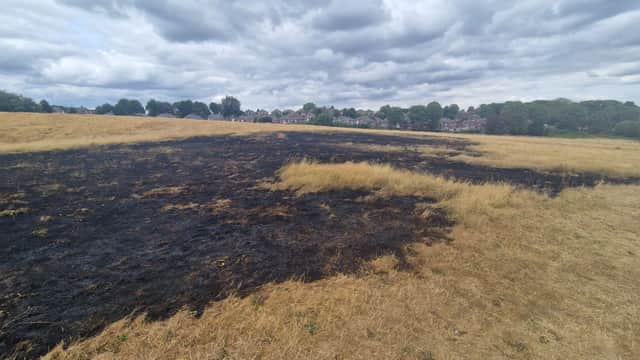 The scorched remains of a grass fire on Sheffield's Longley Park on July 28, 2026. It is the latest blaze to hit a Sheffield green space.