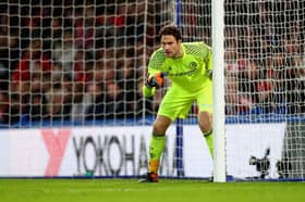 Asmir Begovic counts Chelsea among his former clubs. 