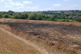 "Seeing years of hard work burn away in minutes is devastating”