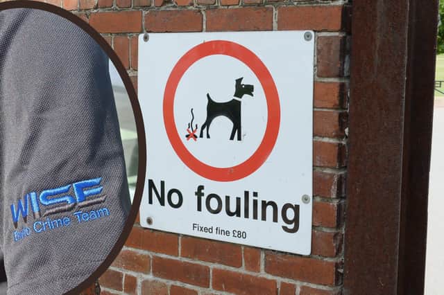 New patrols have started to crack down on litter. Photo: Iconic Media / Sheffield Council