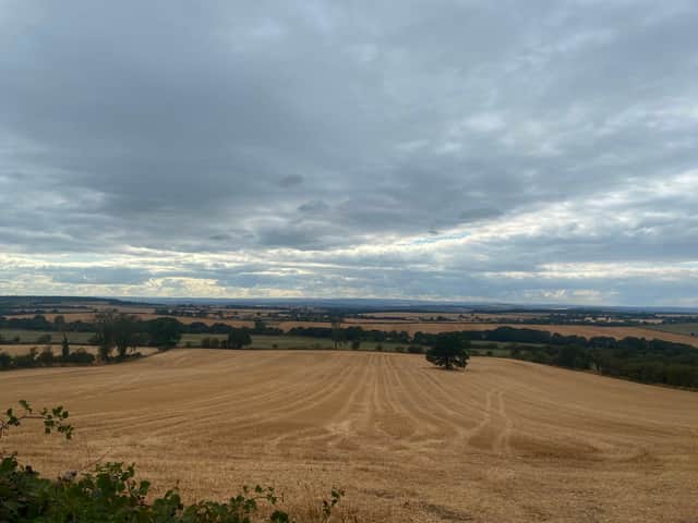 A view from the top of one of the fields that the Whitestone solar farm would be built on.