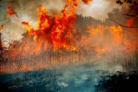 Firefighters struggled to control a wildfire which broke out on Sheffield's Manor Fields Park on August 13, 2026