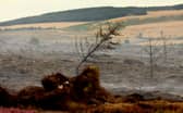 South Yorkshire Fires