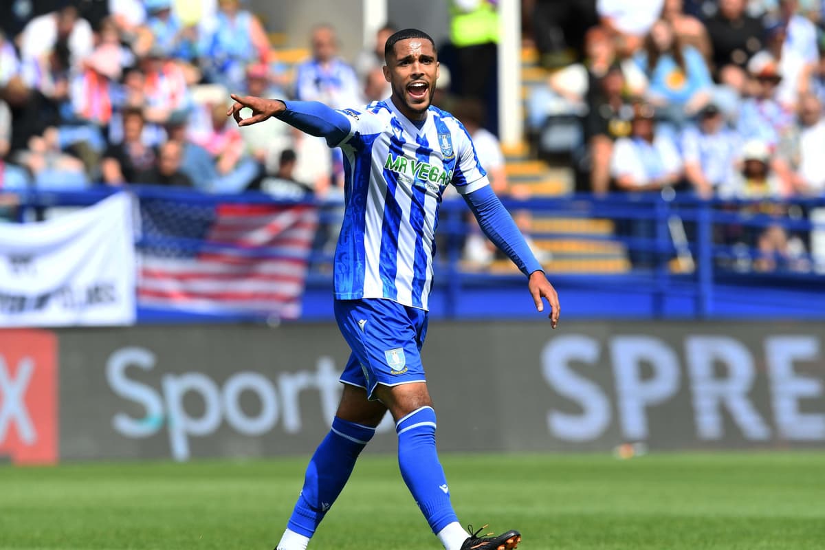 The Sheffield Wednesday fixture that popular defender could return from ...