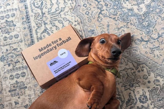 Itch offers monthly spot-on flea treatment tailored to a pet’s species, age and weight, with the first treatment currently free.