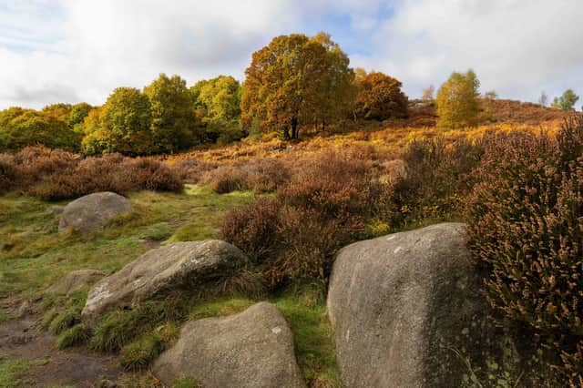 Autumn in Padley Gorge, Derbyshire Peak District, UK.