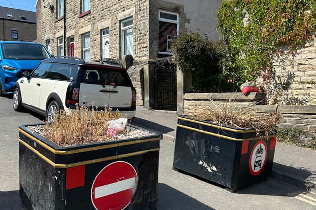 Planters on Highton Street