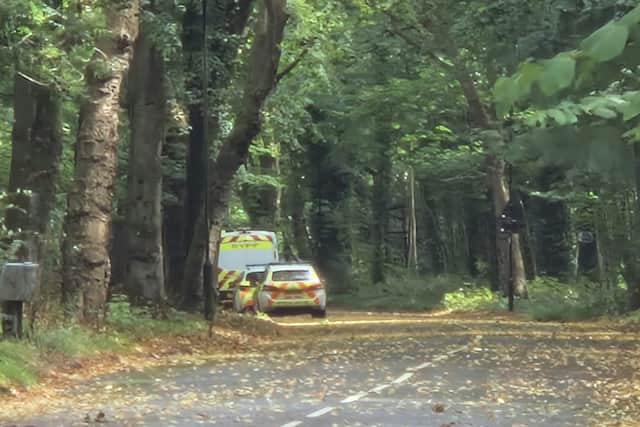 Police cars near Ecclesall Road, Sheffield, today. Photo Iconic Media