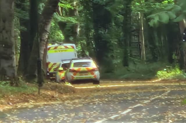Two police cars and several police vans were parked on Whirlowdale Road, Officers came and went from a north-facing footpath leading into the woods.
