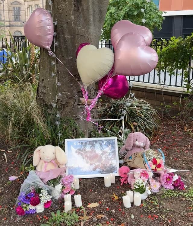 The tribute in Barkers Pool remembers Baby S