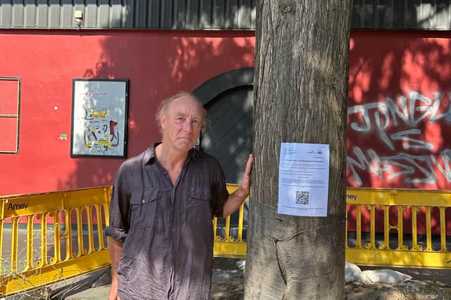 Eight trees have been saved from felling "for the time being"