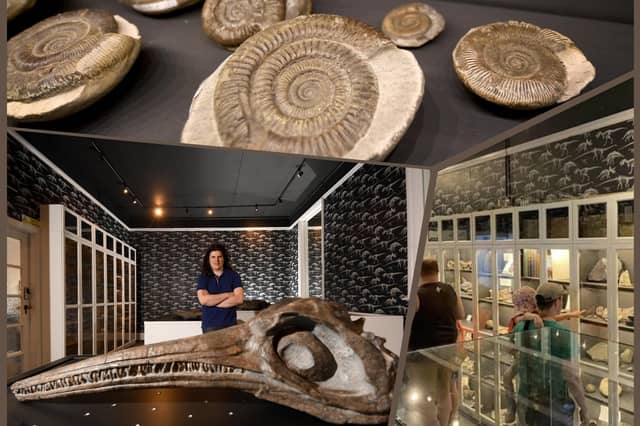 Enjoy a day out for up to four people at the Natural Sciences Museum with up to 46 per cent on group day tickets with Wowcher