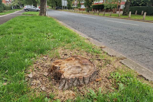 The campaign began after residents 'heard chainsaws' and found contractors were cutting down a large tree without prior notice.