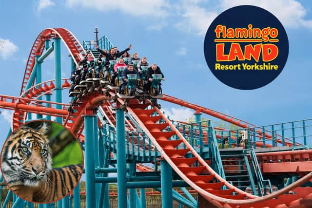 Flamingo Land Resort Yorkshire combines thrilling theme park rides with an award-winning zoo.