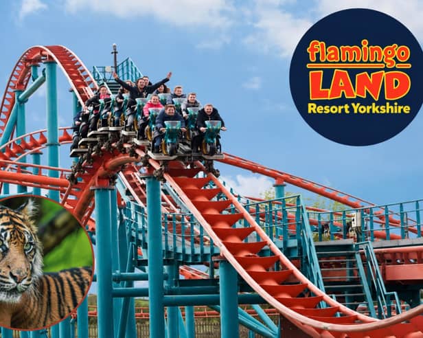 Flamingo Land Resort Yorkshire combines thrilling theme park rides with an award-winning zoo.