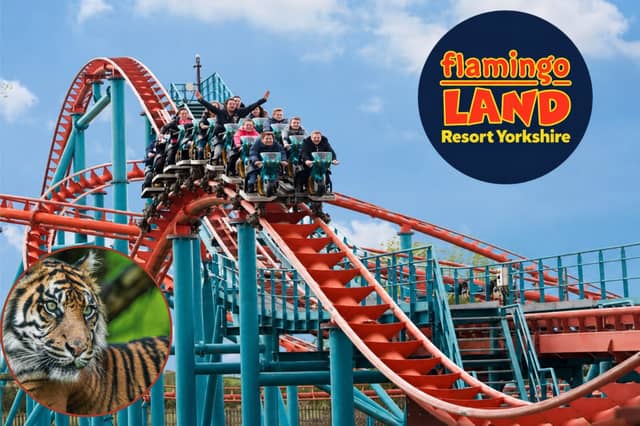Flamingo Land Resort Yorkshire combines thrilling theme park rides with an award-winning zoo.