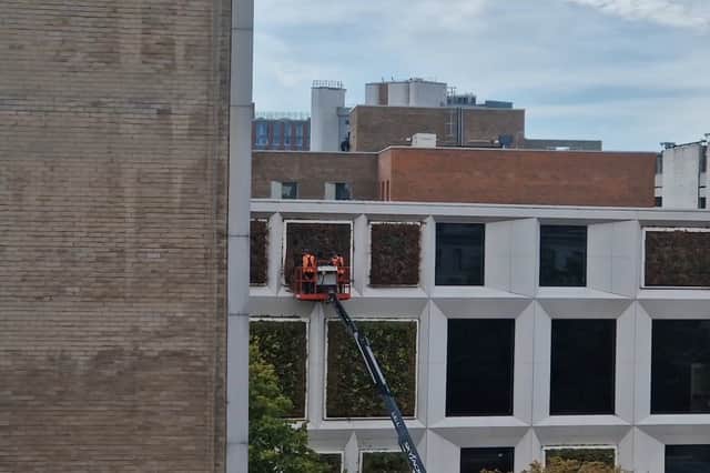Workmen mow the windows at the building on Barker's Pool, Sheffield city centre. Photo: David Kessen, Iconic Media