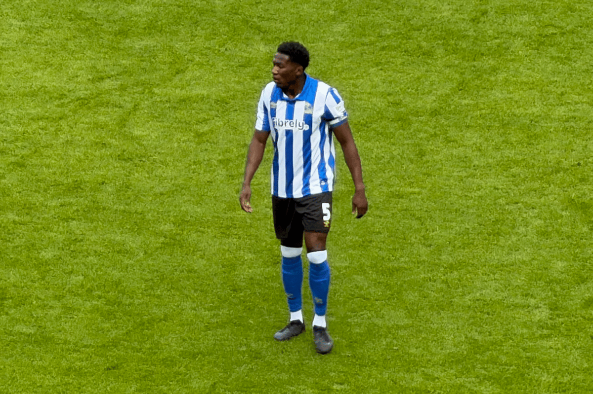 Sheffield Wednesday erhält wichtige Verstärkung nach einer Verletzung: ...