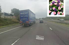 The car hit a tree 1,300 metres from junction 36 southbound