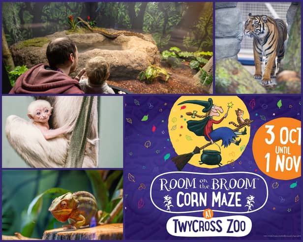 Set to open to the public on October 3, 2026, the brand-new Broom Corn Maze will also feature a special 25th anniversary message hidden within its design.