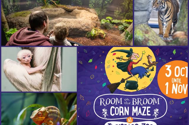 Set to open to the public on October 3, 2026, the brand-new Broom Corn Maze will also feature a special 25th anniversary message hidden within its design.