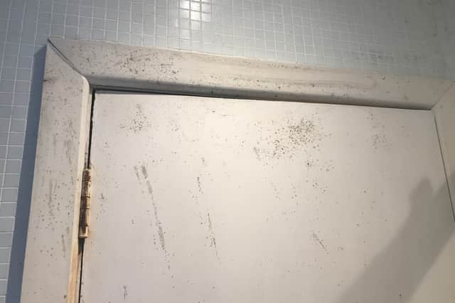 If you have damp and mould in your home you’re more likely to have respiratory and infections, according to the NHS