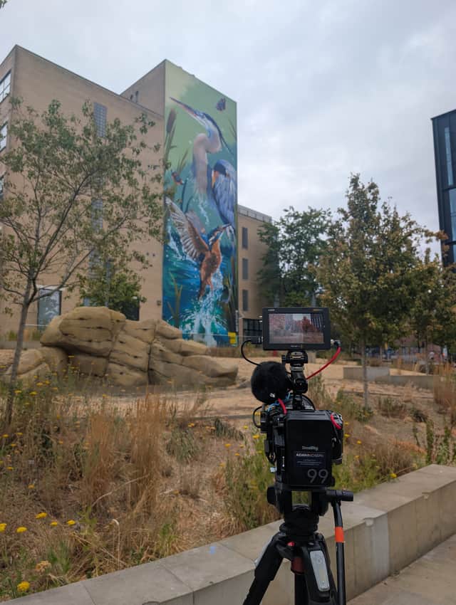 Filming Peachzz's mural 'Reverie' which overlooks Pound's Park in Sheffield City Centre