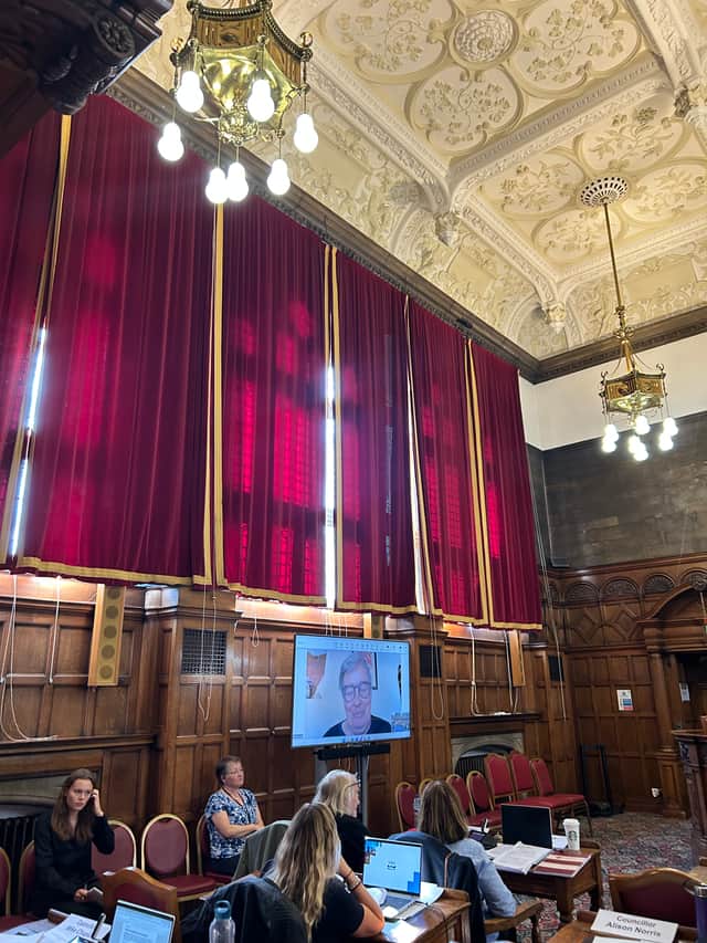 Campaigner Ruth Hubbard spoke to the council chamber through video call