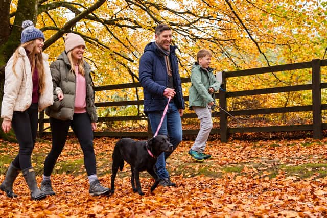 Family holidays for less than £100? You'd be surprised how many options there are
