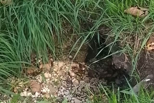 Concerns have been raised over holes at Norton cemetery being hidden from view, making it potentially "dangerous" for anybody that visits.