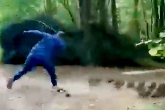 The sickening attack was filmed at Cawthorne Woods in Barnsley and posted on Snapchat