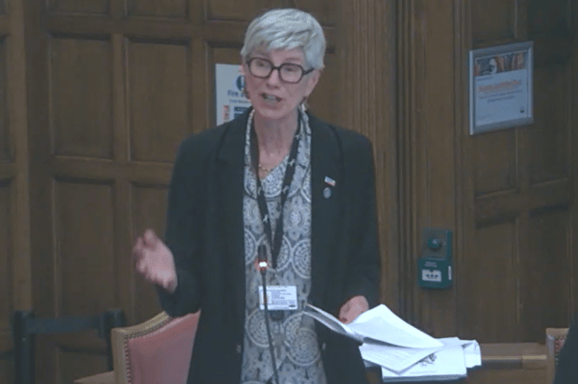 Leader Fran Belbin addressed the motion proposed by Coun Maloney