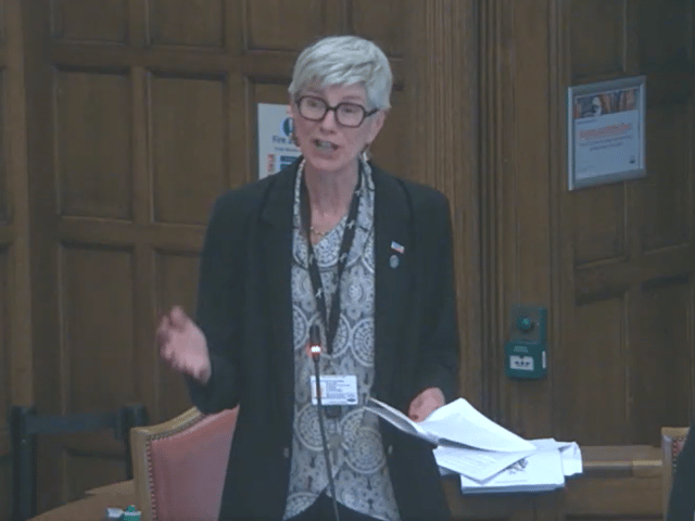 Leader Fran Belbin addressed the motion proposed by Coun Maloney