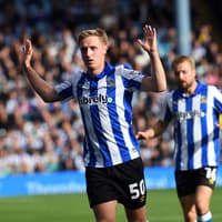 Davis Keillor-Dunn has given Sheffield Wednesday a puzzle to try and solve