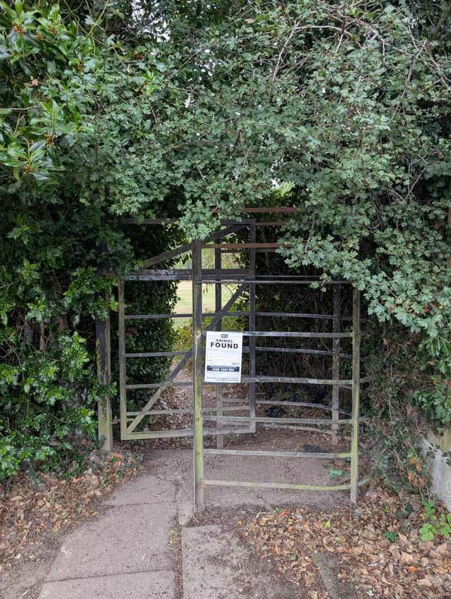 The RSPCA is investigating after dead kittens were found on trees at Dore and Totley Golf Club's golf course, in Sheffield. Photo: RSPCA
